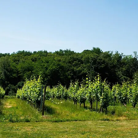 Maison De Charme&piscine - Vignoble Bordelais Hébergement de vacances Massugas