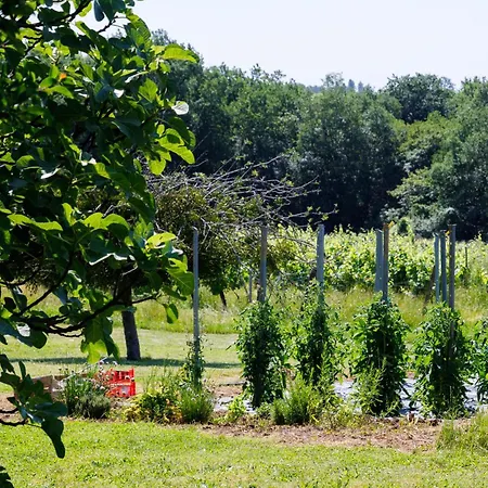 Hébergement de vacances Maison De Charme&piscine - Vignoble Bordelais *